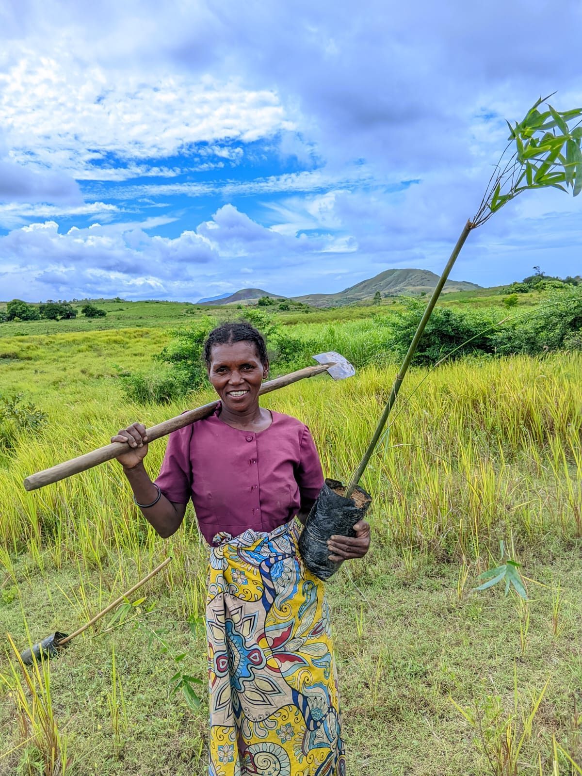 Biochar production
